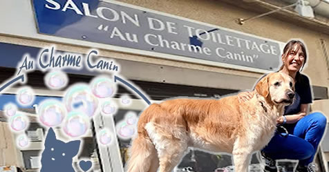 Au charme canin à Ludres